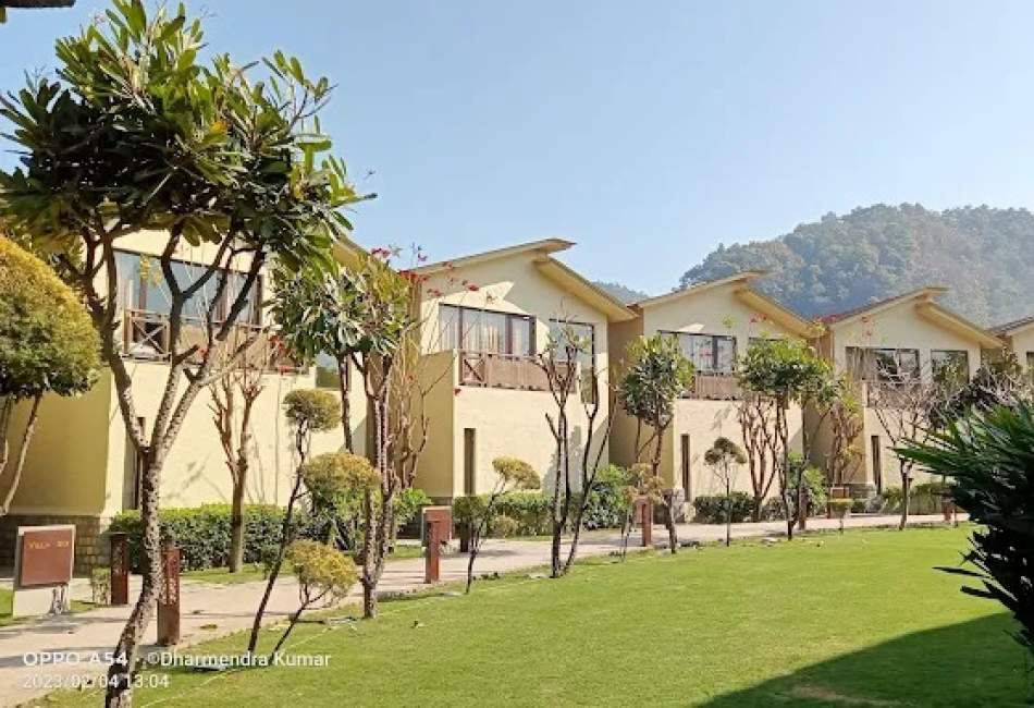 Lemon Tree Premiere Corbett